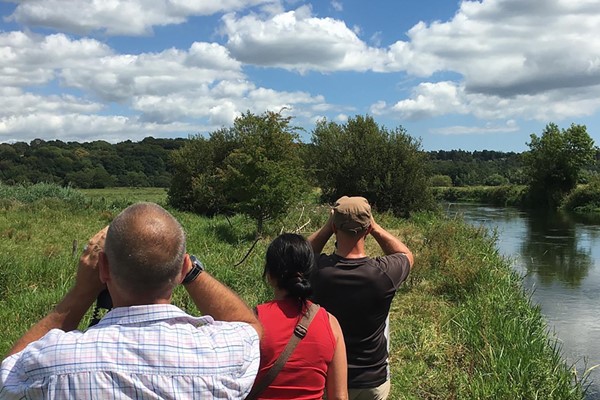 A Walking Wildlife Safari along the River Thames for Two 5 A Walking Wildlife Safari along the River Thames for Two