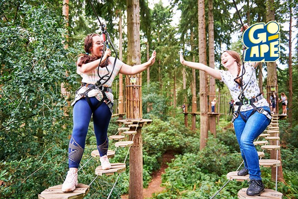 Treetop Challenge for Two Adults at Go Ape