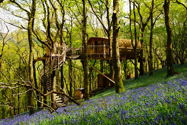 Two Night Treehouse Escape for Two 3 Two Night Treehouse Escape for Two