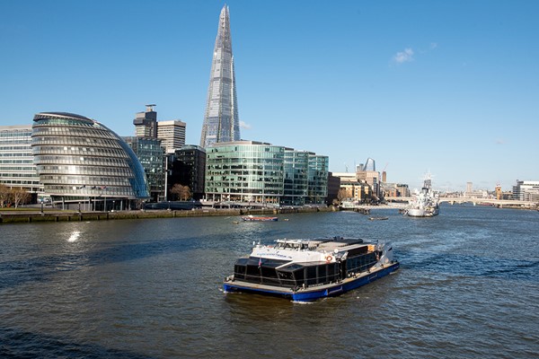 Hop On Hop Off River Cruise and Two-Course Lunch at The Albert for Two