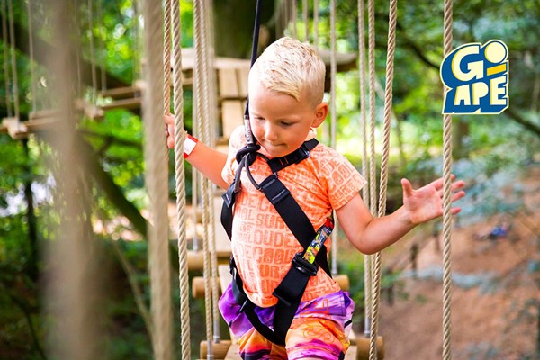 Treetop Adventure Plus for One at Go Ape