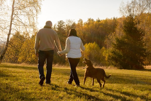 Dog Friendly Breaks 