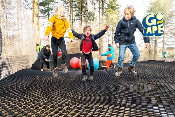 Nets Adventure Experience for One Adult and One Child at Go Ape
