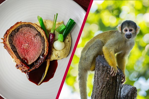Entry to London Zoo for Two and a Two Course Meal at a Gordon Ramsay Restaurant