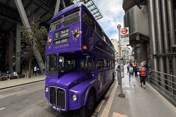 Harry Potter Bus Tour of London for Adult and Child