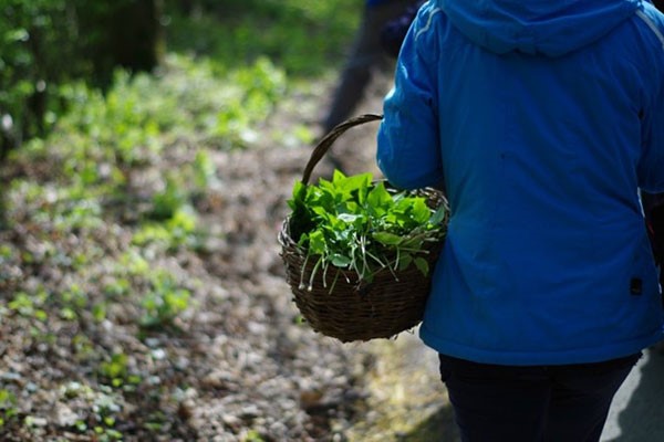 Forage and Cook Experience with Totally Wild UK for Two 4 Forage and Cook Experience with Totally Wild UK for Two