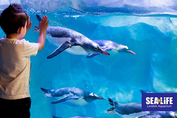 SEA LIFE London Aquarium Entry Tickets for Two - Anytime