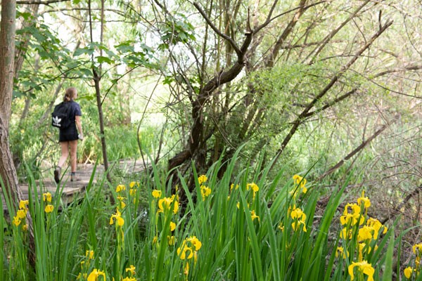 Two Night Break in a Wee Brave Wigwam for Two People 6 Two Night Break in a Wee Brave Wigwam for Two People