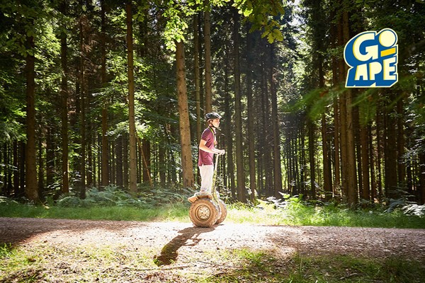 Forest Segway Experience for One at Go Ape