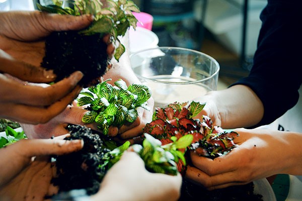 Terrarium Masterclass at Botanical Boys 4 Terrarium Masterclass at Botanical Boys