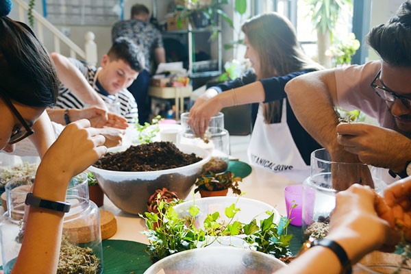 Terrarium Masterclass at Botanical Boys 5 Terrarium Masterclass at Botanical Boys